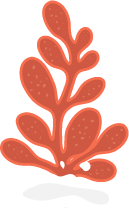 red coral
