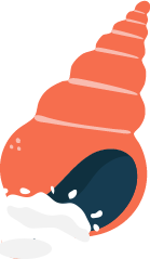 shell
