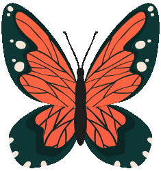 butterfly